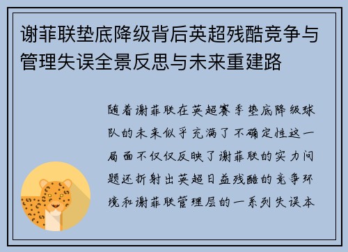谢菲联垫底降级背后英超残酷竞争与管理失误全景反思与未来重建路